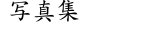 写真集
