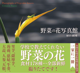 展覧会